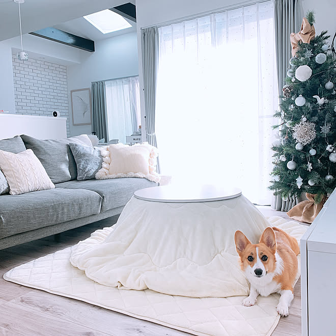 こたつ/いぬのいる暮らし/いぬと暮らす/わんこと暮らす家/リビングテーブル...などのインテリア実例 2019