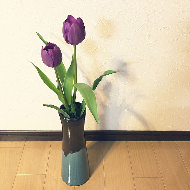 季節の花 花 チューリップ 花瓶 紫 などのインテリア実例 19 03 17 18 24 38 Roomclip ルームクリップ