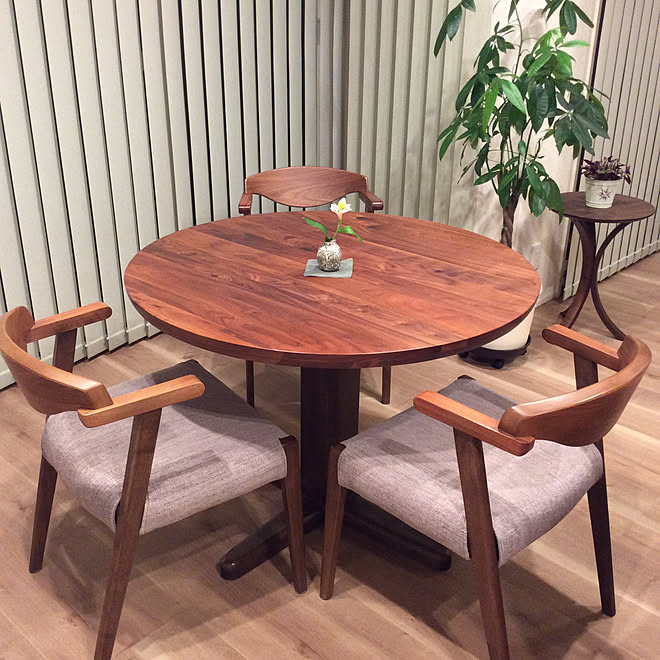 フラワーベース/ダイニングチェア/バーチカルブラインド/植物のある暮らし/花瓶...などのインテリア実例 - 2020-02-27 18:59:41