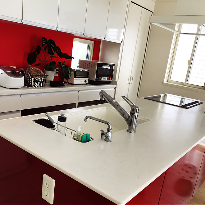 北欧 観葉植物 キッチン Panasonicシステムキッチン システムキッチン などのインテリア実例 21 02 06 11 04 38 Roomclip ルームクリップ