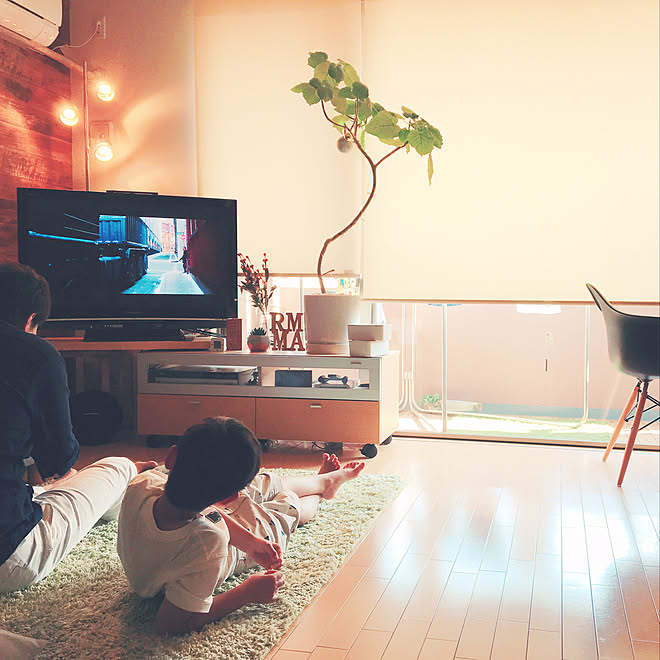 テレビ台/狭い部屋/マンションインテリア/照明好き/証明&hellip;などのインテリア実例 20190502 201557