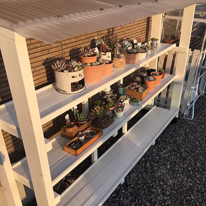 ベッド周り 多肉棚 多肉植物 100均 Diy などのインテリア実例 16 01 27 22 11 41 Roomclip ルームクリップ