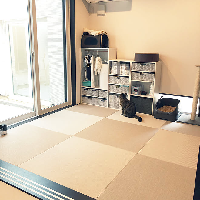 Nカラボ ニトリ 琉球畳 ナチュラルインテリア シンプルインテリア などのインテリア実例 22 08 07 14 17 45 Roomclip ルームクリップ