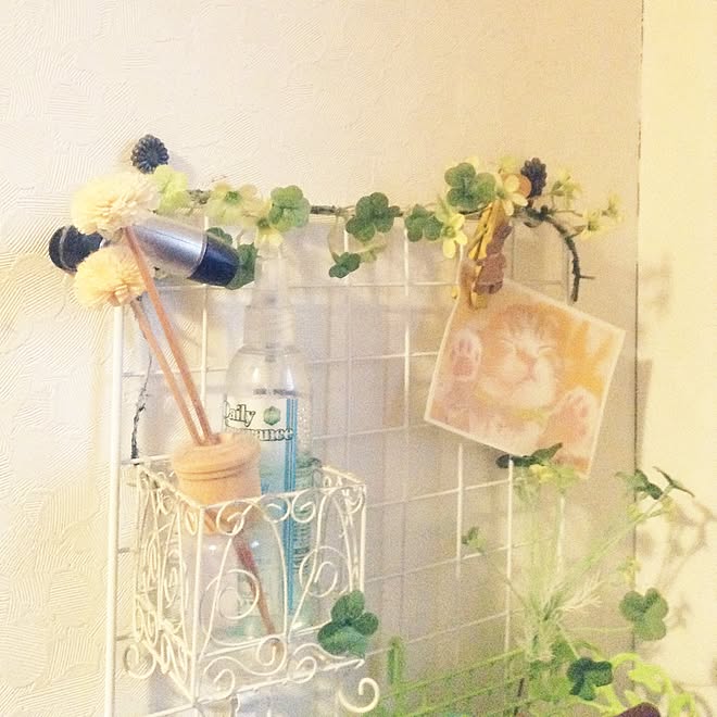 玄関/入り口/100均/ナチュラル/観葉植物/DIY...などのインテリア実例 - 2016-03-14 16:45:45