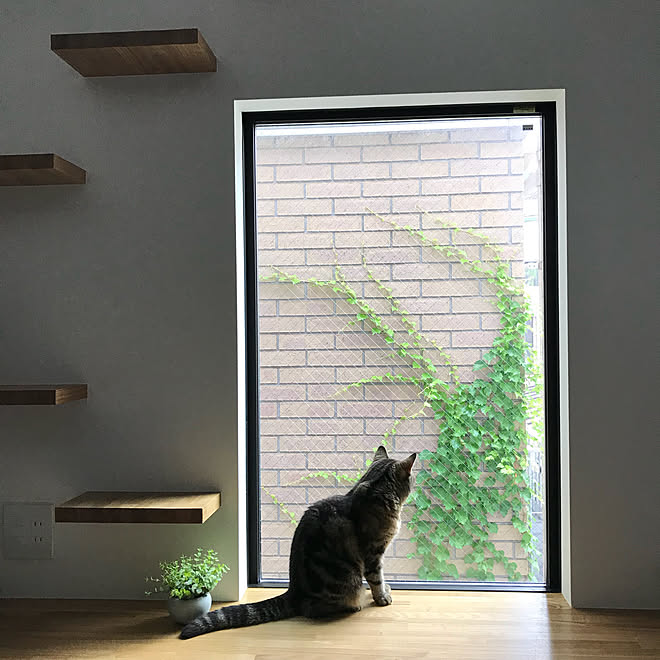 猫窓 ステップ 890920猫窓 ステップ