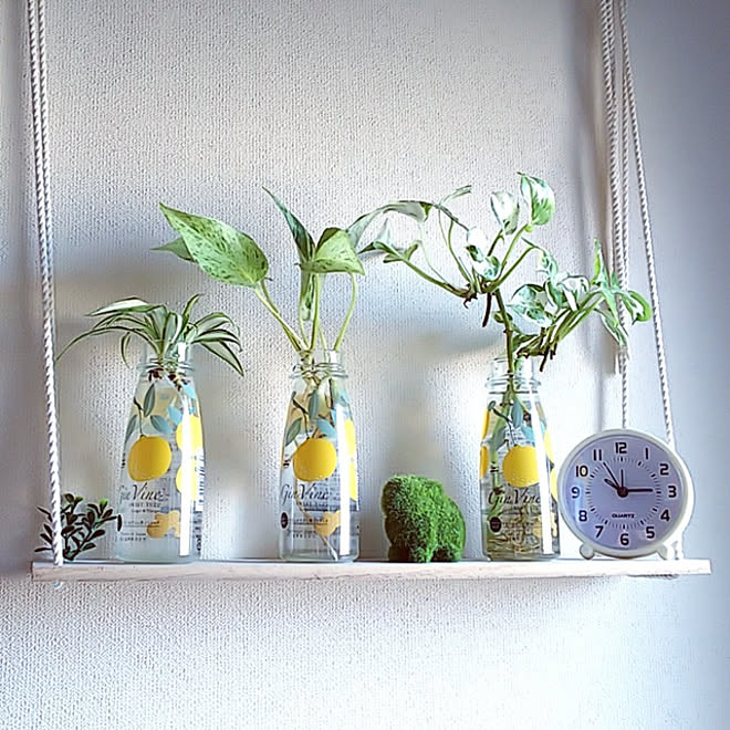 バス トイレ 観葉植物のある暮らし ポトス 観葉植物いろいろ 空き瓶 再利用 などのインテリア実例 21 01 26 18 25 18 Roomclip ルームクリップ