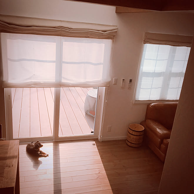 シンプルインテリア 犬と暮らす 日向ぼっこ レースカーテン アイボリー などのインテリア実例 19 03 05 09 11 40 Roomclip ルームクリップ