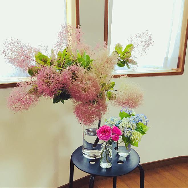 挿し木に挑戦しようかな プチプラ大好き バラ 紫陽花 花に癒される日々 などのインテリア実例 21 05 31 11 34 36 Roomclip ルームクリップ 挿し木に挑戦しようかな プチプラ大好き バラ 紫陽花 花に癒される日々 などのインテリア実例 21 05 31 11 34 36 Roomclip ルームクリップ
