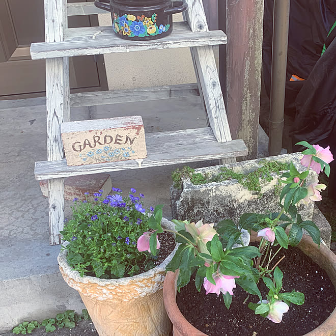 クリスマスローズ ガーデニング ガーデニング雑貨 アンティーク Diy などのインテリア実例 21 02 19 05 07 49 Roomclip ルームクリップ