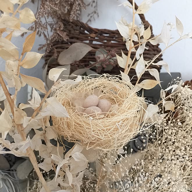 ベッド周り/ことりの巣/たまご/生成り色/鳥の巣&hellip;などのインテリア実例 20150702 224811 ｜ RoomClip