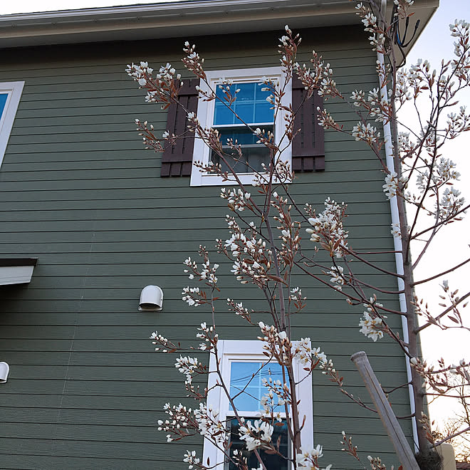 庭のある暮らし 鎧張り調 飾り窓 ニチハ モエンサイディング 外壁 サイディング などのインテリア実例 04 23 12 22 23 Roomclip ルームクリップ