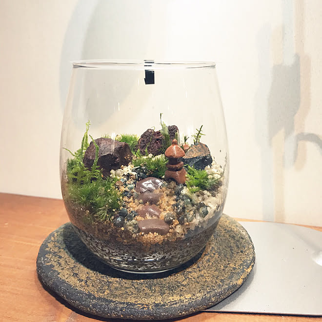 テラリウム シンプルに暮らしたい お庭改造中 ハンドメイド カフェ風 などのインテリア実例 03 27 22 19 22 Roomclip ルームクリップ テラリウム シンプルに暮らしたい お庭改造中 ハンドメイド カフェ風 などのインテリア実例 03 27 22 19 22 Roomclip ルームクリップ