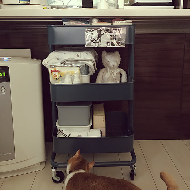 猫のいる生活 赤ちゃん準備品 ベビーワゴン ジェラートピケ ネコ Ikea などのインテリア実例 19 08 10 14 44 Roomclip ルームクリップ 猫のいる生活 赤ちゃん準備品 ベビーワゴン ジェラートピケ ネコ Ikea などのインテリア実例 19 08 10 14 44 Roomclip ルームクリップ