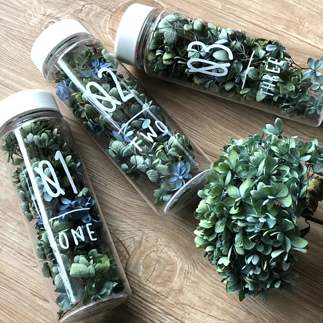 キャンドゥ セリア シリカゲル ドリンクボトル ドライフラワー保存 などのインテリア実例 19 06 09 15 36 49 Roomclip ルームクリップ