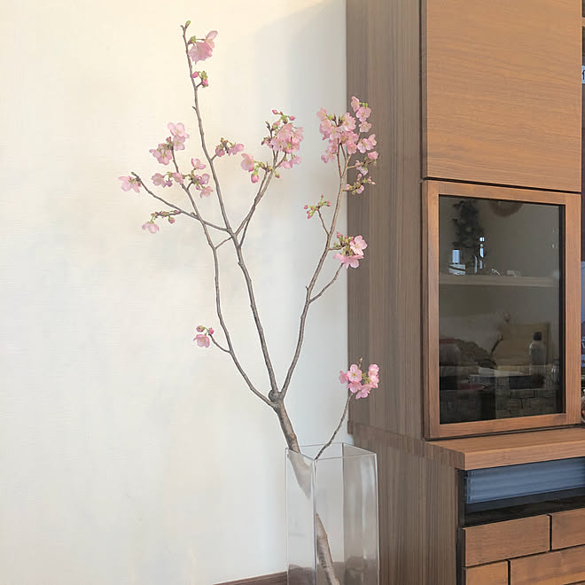 テレビボード ニトリ インテリアコーディネーター 枝物 花瓶 などのインテリア実例 21 03 22 13 09 46 Roomclip ルームクリップ
