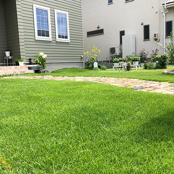 サンフィニティ アナベル 芝刈り 姫高麗芝 つくば姫 などのインテリア実例 07 21 08 35 29 Roomclip ルームクリップ
