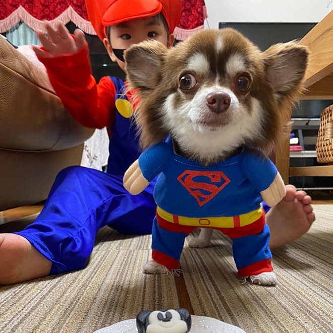 セブンイレブン ミッキーの和菓子 ハロウィン仮装パーティー ハロウィン 見ていただいてありがとうございます などのインテリア実例 21 10 29 19 33 44 Roomclip ルームクリップ