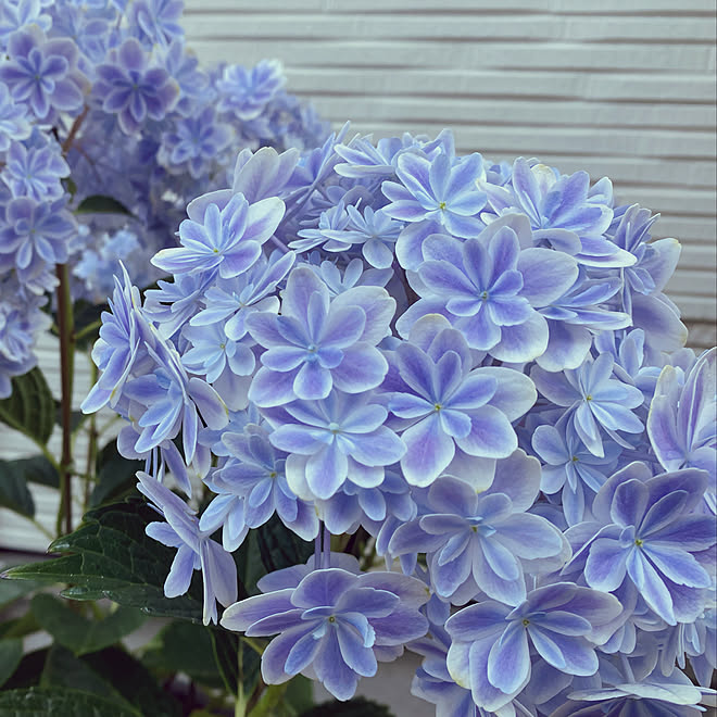 Ypbedu9l9ie22m Ypbedu9l9ie22m