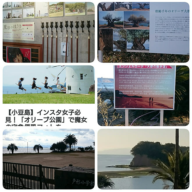 ドライフラワー 地 ナチュラル 小豆島