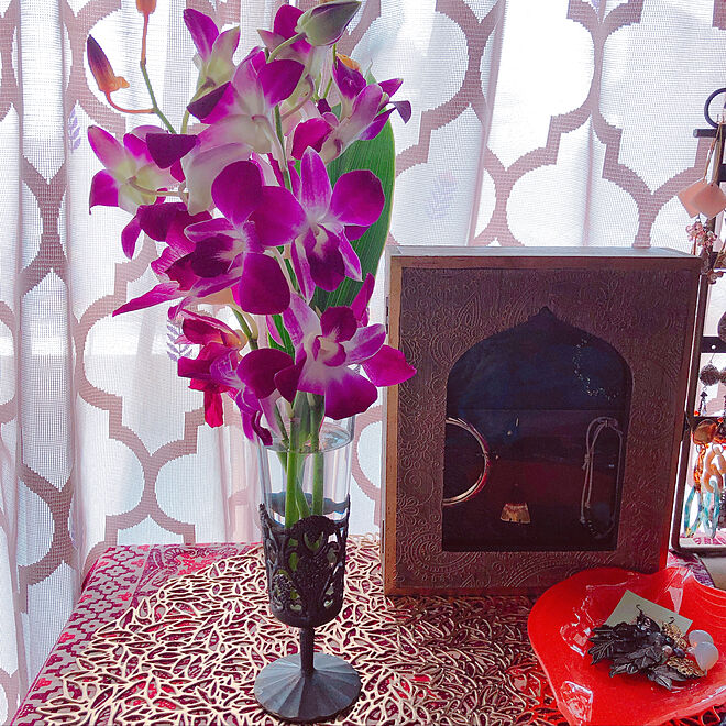 切り花 デンドロビウム デンファレ 洋蘭 お花を飾る などのインテリア実例 08 15 29 23 Roomclip ルームクリップ