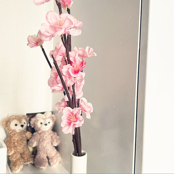 造花 桜 Roomclipアンケート セリア 100均 などのインテリア実例 22 03 05 34 06 Roomclip ルームクリップ