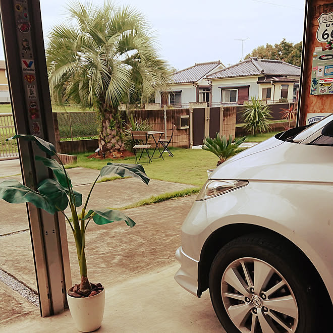 ガレージ 庭 カリフォルニアスタイル 南国風の庭 ココスヤシ などのインテリア実例 18 10 14 11 15 47 Roomclip ルームクリップ