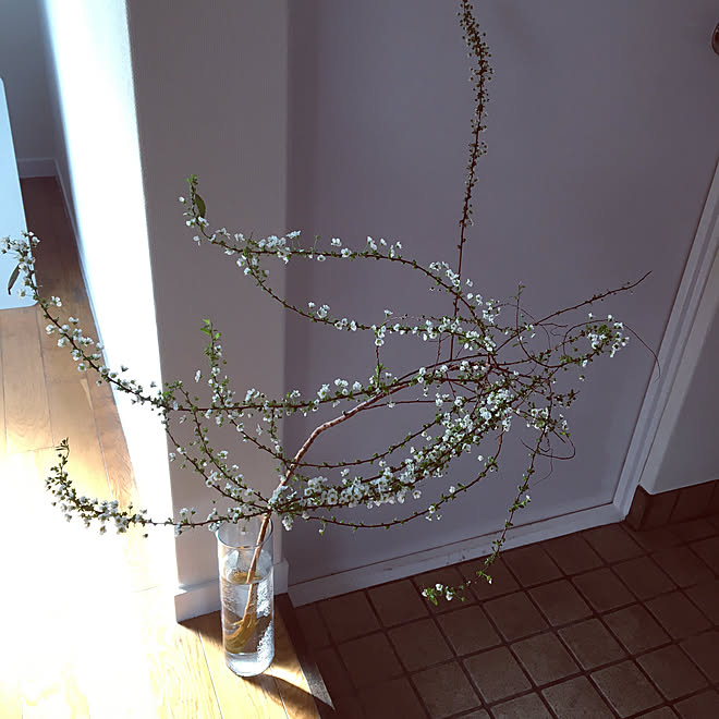 玄関 入り口 玄関 花のある暮らし 賃貸マンション 花のある風景 などのインテリア実例 18 02 15 21 57 58 Roomclip ルームクリップ 玄関 入り口 玄関 花のある暮らし 賃貸マンション 花のある風景 などのインテリア実例 18 02 15 21 57 58 Roomclip ルームクリップ