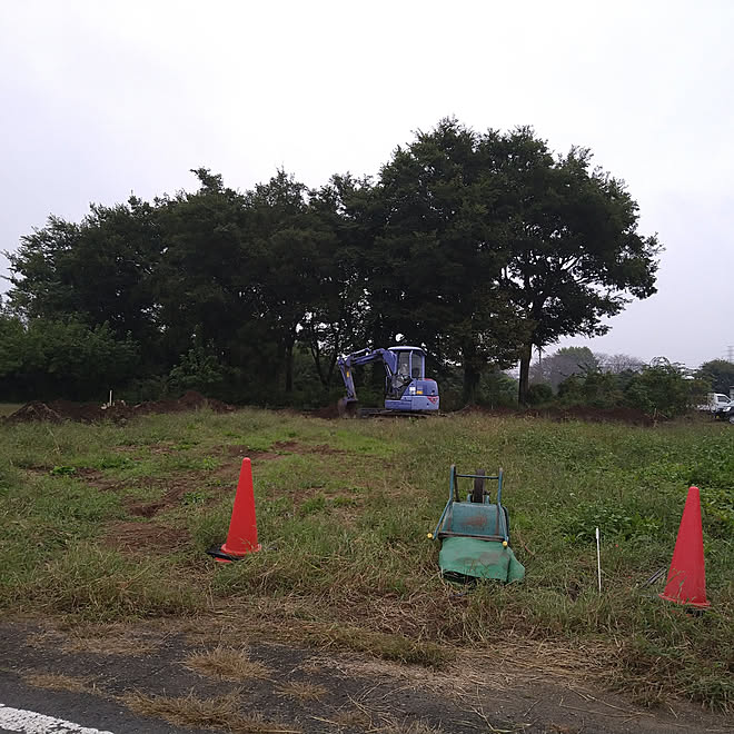 部屋全体 平屋 150坪 建坪30坪 ココスヤシ などのインテリア実例 10 26 22 11 25 Roomclip ルームクリップ