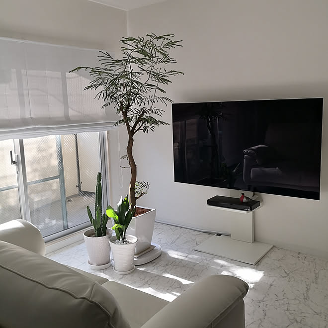 部屋全体 ホワイトインテリア ホワイトシンプル連合会 ホワイト化計画 観葉植物のある部屋 などのインテリア実例 05 11 12 24 52 Roomclip ルームクリップ