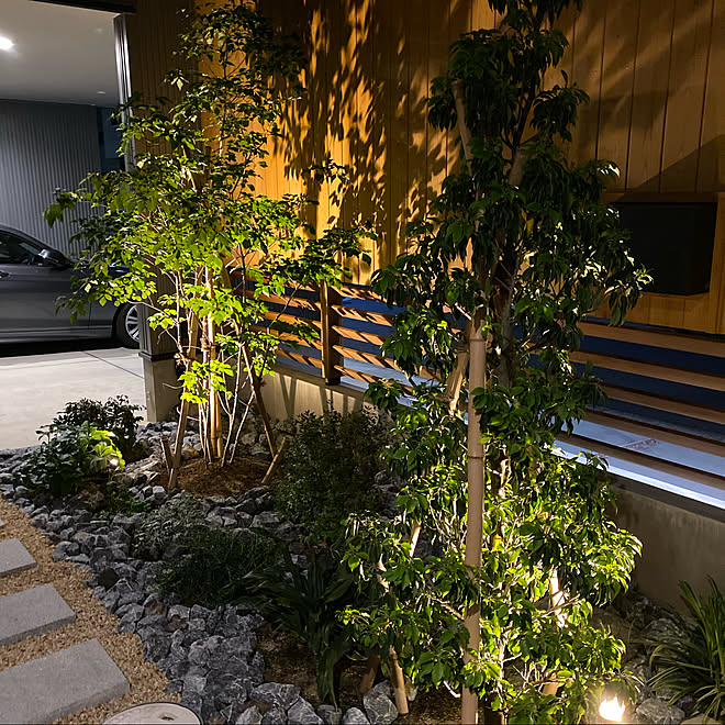 ロックガーデン風 植栽 ライトアップ アオダモ ソヨゴ などのインテリア実例 21 05 09 19 30 28 Roomclip ルームクリップ