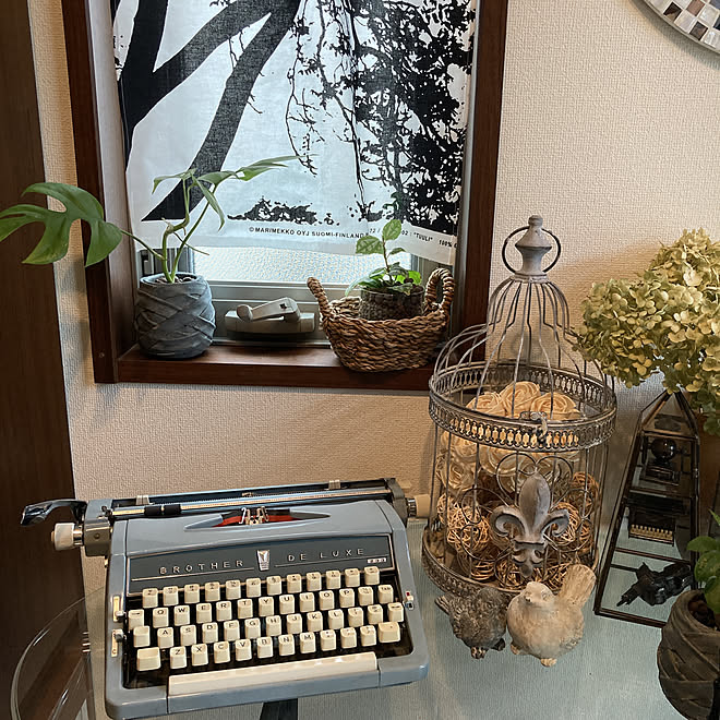 アンティークタイプライター バードゲージ ハイドロカルチャー観葉植物 ヒメモンステラ成長中 北欧インテリアに憧れる などのインテリア実例 21 09 13 51 26 Roomclip ルームクリップ