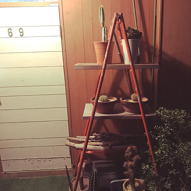 植物/男前/レトロ/インディアン/DIY...などのインテリア実例 - 2019-11-10 21:56:56