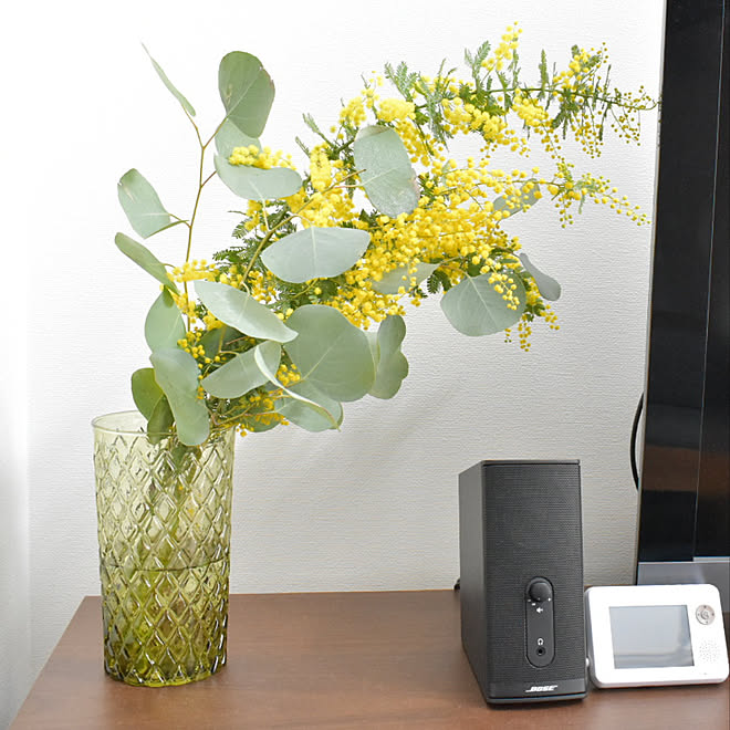 リビング アクタス アクタスの花瓶 ユーカリ ミモザの日 などのインテリア実例 18 03 07 16 12 56 Roomclip ルームクリップ リビング アクタス アクタスの花瓶 ユーカリ ミモザの日 などのインテリア実例 18 03 07 16 12 56 Roomclip ルームクリップ