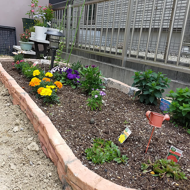 玄関 入り口 庭 花壇ｄｉｙ 見てくれてありがとうございます コメリ などのインテリア実例 21 05 14 14 52 06 Roomclip ルームクリップ