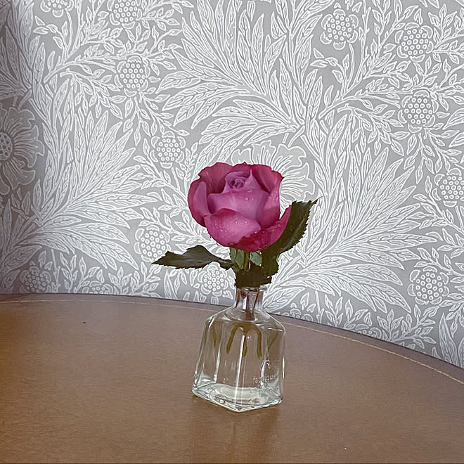 薔薇のある暮らし ウィリアムモリスの壁紙 薔薇好き ばらが咲きました 薔薇が好き などのインテリア実例 05 04 09 52 16 Roomclip ルームクリップ 薔薇のある暮らし ウィリアムモリスの壁紙 薔薇好き ばらが咲きました 薔薇が好き などのインテリア実例 05 04 09 52 16 Roomclip ルームクリップ