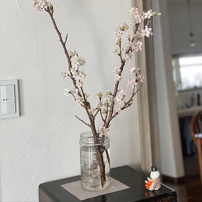 おうちお花見 桜 啓翁桜 壁 天井のインテリア実例 22 03 21 11 27 34 Roomclip ルームクリップ