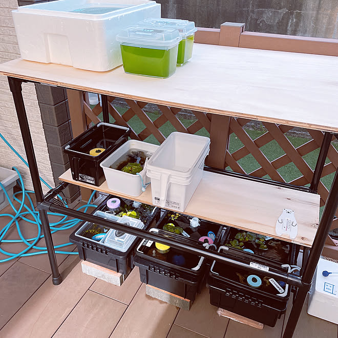 イレクターパイプ棚 庭 Diy メダカ ホームセンター などのインテリア実例 22 05 04 08 23 08 Roomclip ルームクリップ