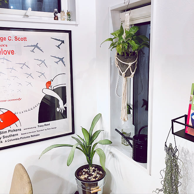 ハンギングプランター ポトス フェイクグリーン スパニッシュモス 観葉植物 などのインテリア実例 04 07 16 45 16 Roomclip ルームクリップ