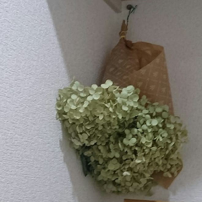 バス トイレ 紫陽花ドライフラワー つるすの大好き 植物のインテリア実例 17 07 13 07 21 49 Roomclip ルームクリップ バス トイレ 紫陽花ドライフラワー つるすの大好き 植物のインテリア実例 17 07 13 07 21 49 Roomclip ルームクリップ