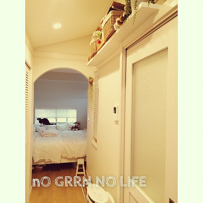 部屋全体/NO GREEN NO LIFE/salut!/観葉植物/catのインテリア実例 - 2015-06-11 05:49:18