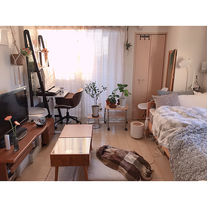 無印良品 一人暮らしインテリア 北欧インテリア ワンルーム 大人のひとり暮らし などのインテリア実例 22 01 18 07 58 Roomclip ルームクリップ