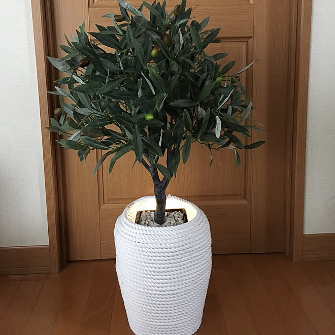 部屋全体 Ikea ニトリ オリーブ フェイクグリーン などのインテリア実例 18 02 02 16 09 08 Roomclip ルームクリップ 部屋全体 Ikea ニトリ オリーブ フェイクグリーン などのインテリア実例 18 02 02 16 09 08 Roomclip ルームクリップ