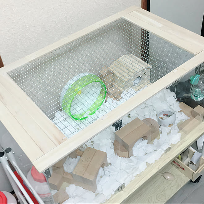 リビング 一人暮らし ハムスターケージ ハムスター 自作 などのインテリア実例 18 04 15 21 40 41 Roomclip ルームクリップ リビング 一人暮らし ハムスターケージ ハムスター 自作 などのインテリア実例 18 04 15 21 40 41 Roomclip ルームクリップ