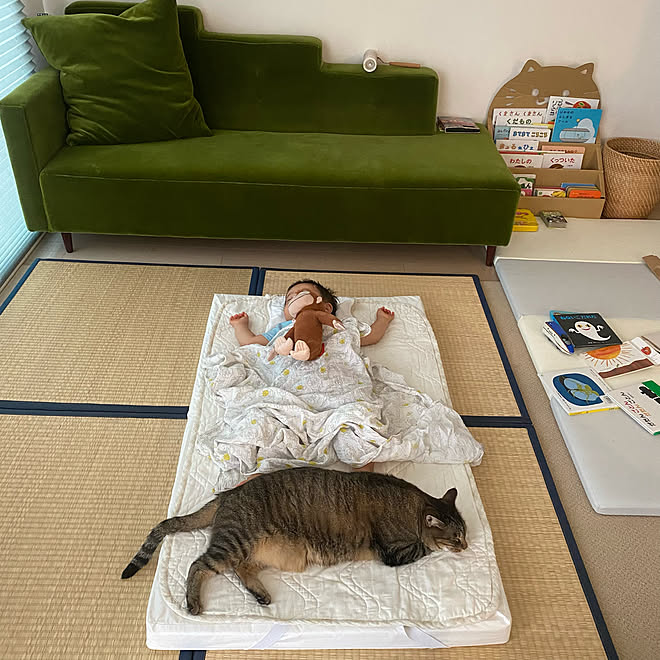 絵本棚 モケットグリーンソファ 爪とぎに強いソファ イケヒコ い草 などのインテリア実例 21 08 12 13 50 16 Roomclip ルームクリップ 絵本棚 モケットグリーンソファ 爪とぎに強いソファ イケヒコ い草 などのインテリア実例 21 08 12 13 50 16 Roomclip ルームクリップ