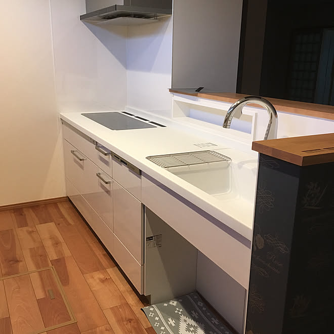 パナソニック建具/二世帯住宅新築中/木造建築/Lクラス Panasonic/キッチンのインテリア実例 - 2019-12-03 15:56:20