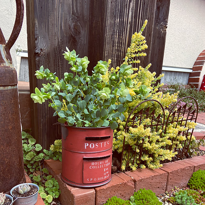 今度こそ オレガノケントビューティー 庭 ガーデニング 手作り花壇 などのインテリア実例 22 04 01 13 59 06 Roomclip ルームクリップ