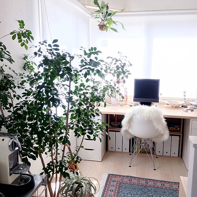 朝の部屋/無印良品/デスク/シルクジャスミン/IKEA...などのインテリア実例 - 2015-12-22 10:49:50