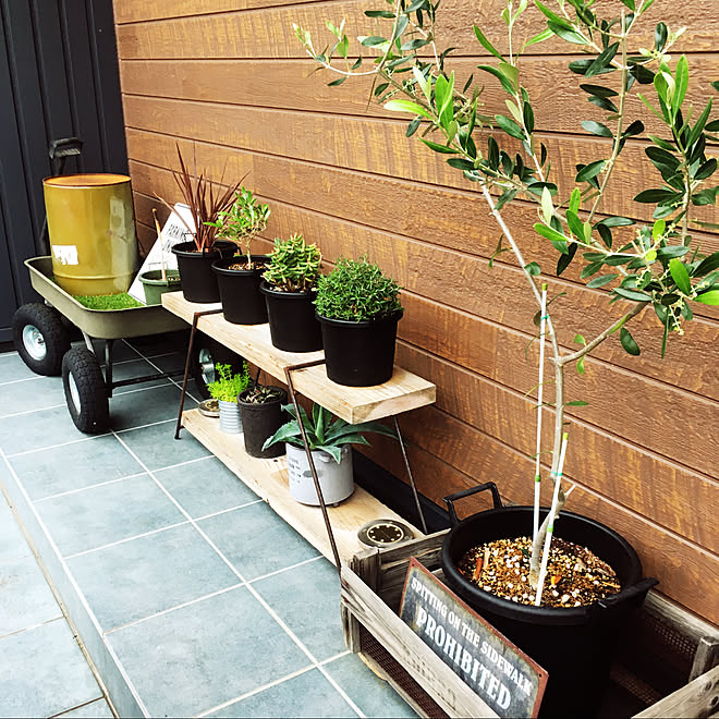 オリーブ 観葉植物 アイアンラック ガーデニング 玄関 入り口のインテリア実例 05 10 13 59 51 Roomclip ルームクリップ