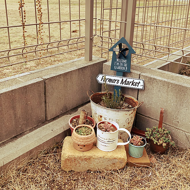 玄関 入り口 カインズ 植木鉢 多肉植物 庭 レンガ などのインテリア実例 02 10 10 27 16 Roomclip ルームクリップ 玄関 入り口 カインズ 植木鉢 多肉植物 庭 レンガ などのインテリア実例 02 10 10 27 16 Roomclip ルームクリップ