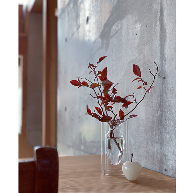 ブルーベリーの枝 食卓 ダイニングテーブル 冬 打ちっぱなし などのインテリア実例 21 11 18 16 35 52 Roomclip ルームクリップ